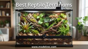 Best Reptile Terrariums