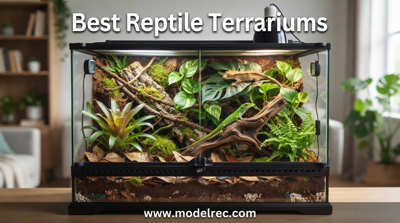 Best Reptile Terrariums