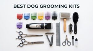best dog grooming kits