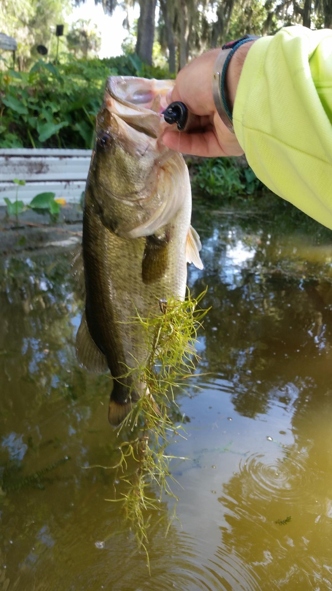 Berkley Trilene XL Monofilament Fishing Line customer photo 2
