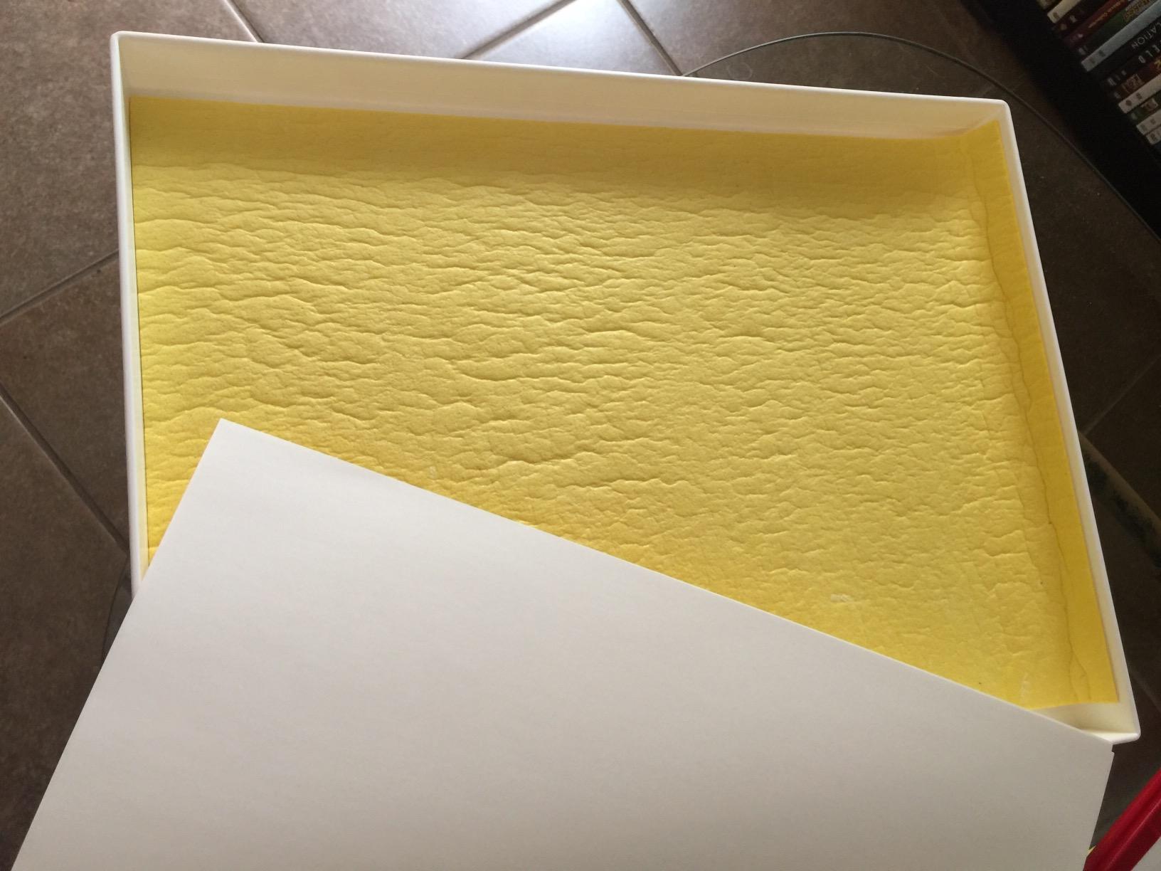 Masterson Sta-Wet Premier Palette with Airtight Lid, 16 X 12 inches, Includes Sponge & 5 Sheets of Sta-Wet Palette Paper (105) customer photo 2