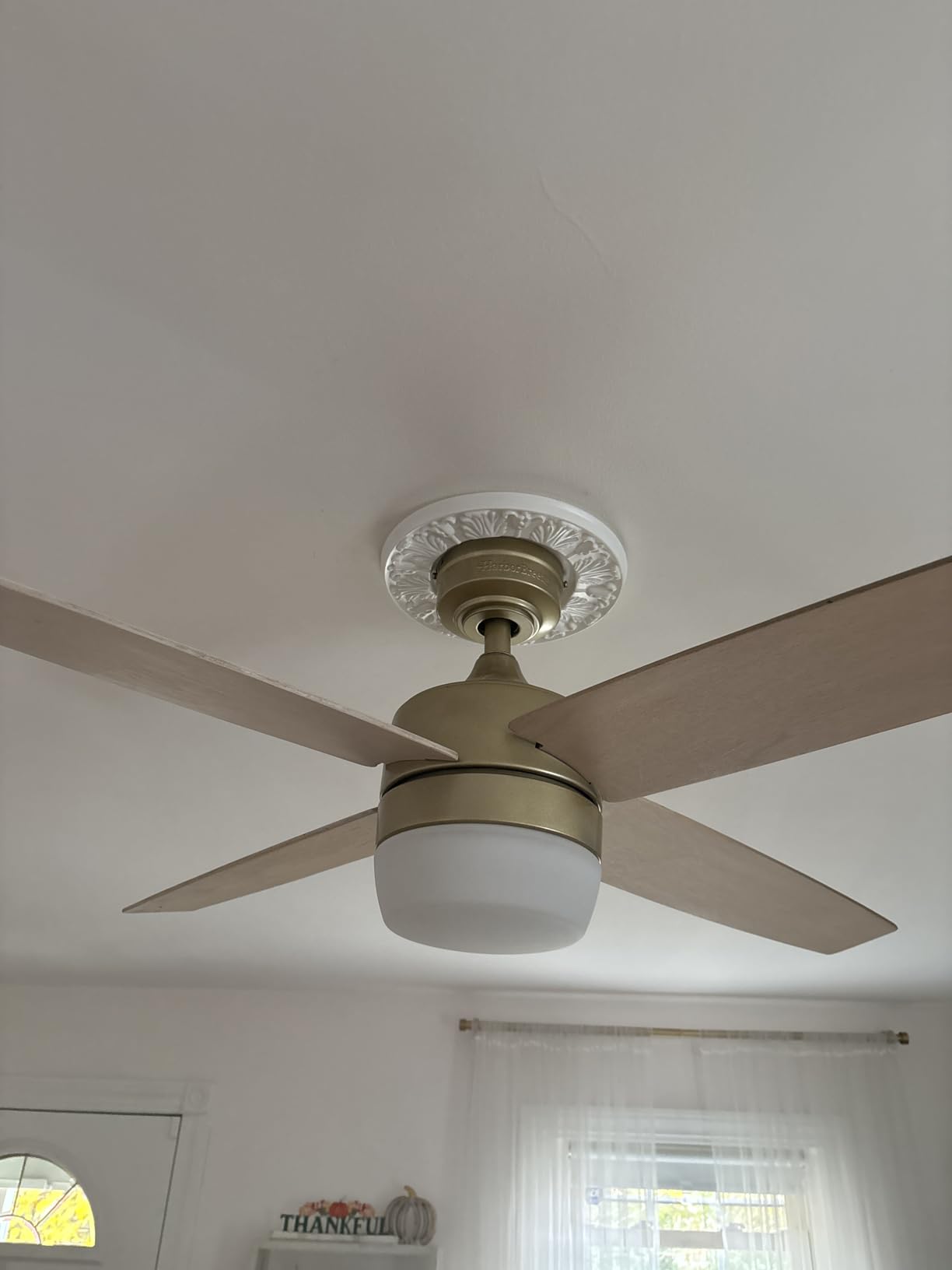 Westinghouse 7702700 Victorian Ceiling Medallion 10-Inch Dia, White Finish, 1-Pack customer photo 1