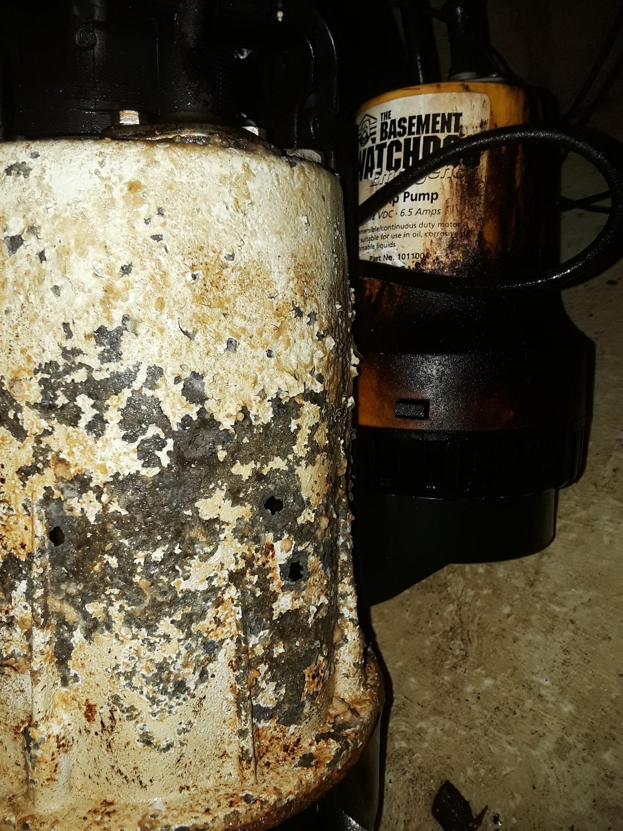 THE BASEMENT WATCHDOG Model DFK961 1/3 HP Combination Submersible Sump Pump with Cast Iron/Cast Aluminum Primary Sump Pump and a 24 Hour a Day Monitoring Emergency Battery Backup Sump Pump System customer photo 2