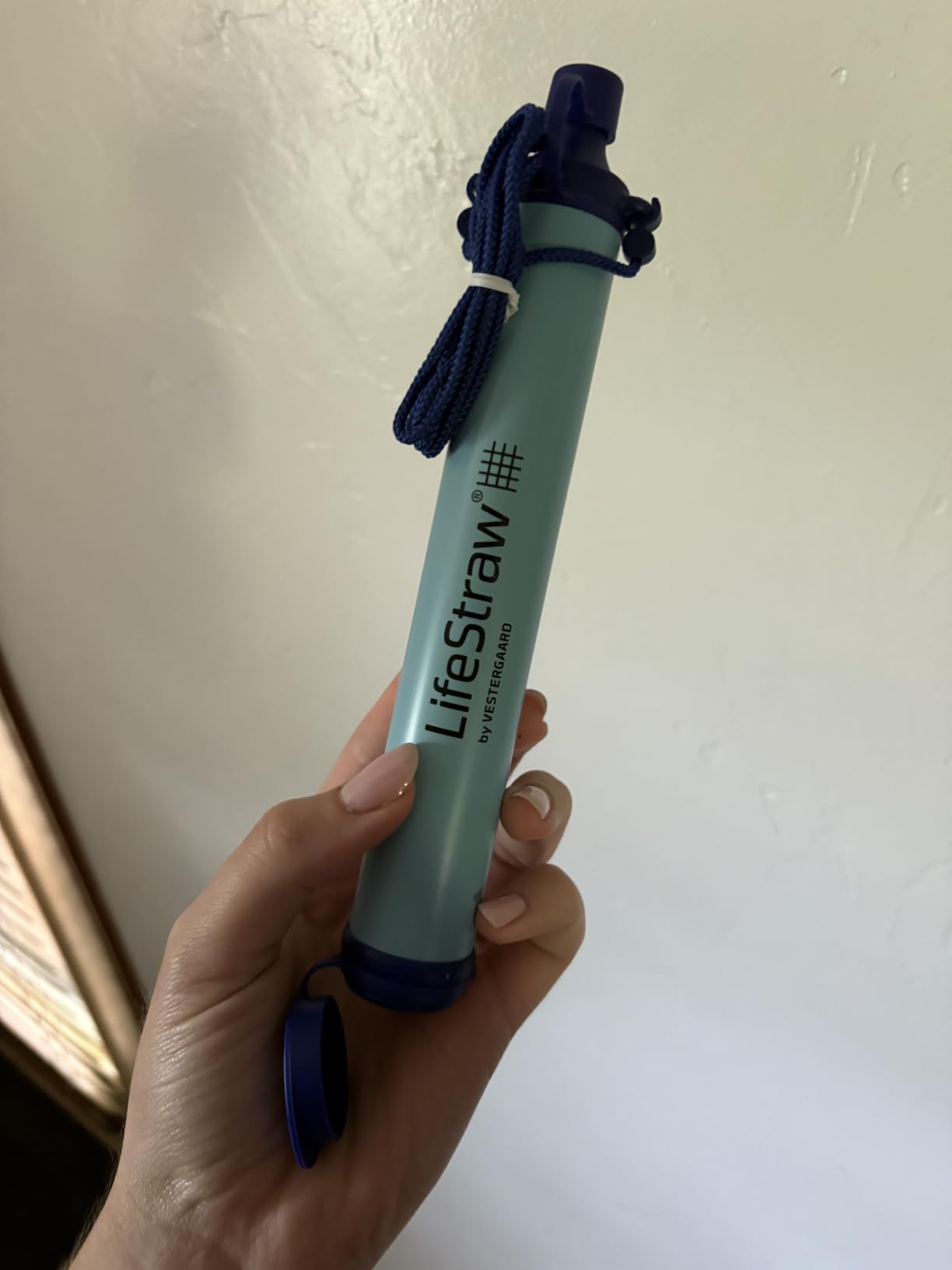 LifeStraw Personal Water Filter for Hiking, Camping, Travel, and Emergency Preparedness customer photo 2