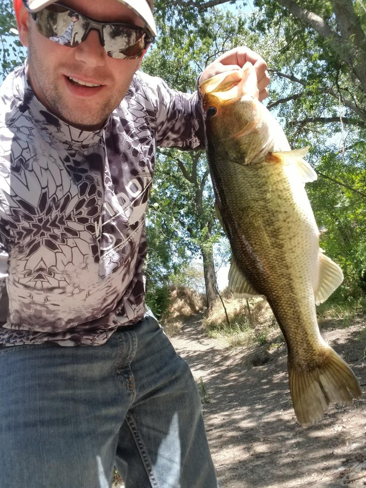 Dobyns Rods Champion XP Series Casting Rod customer photo 2