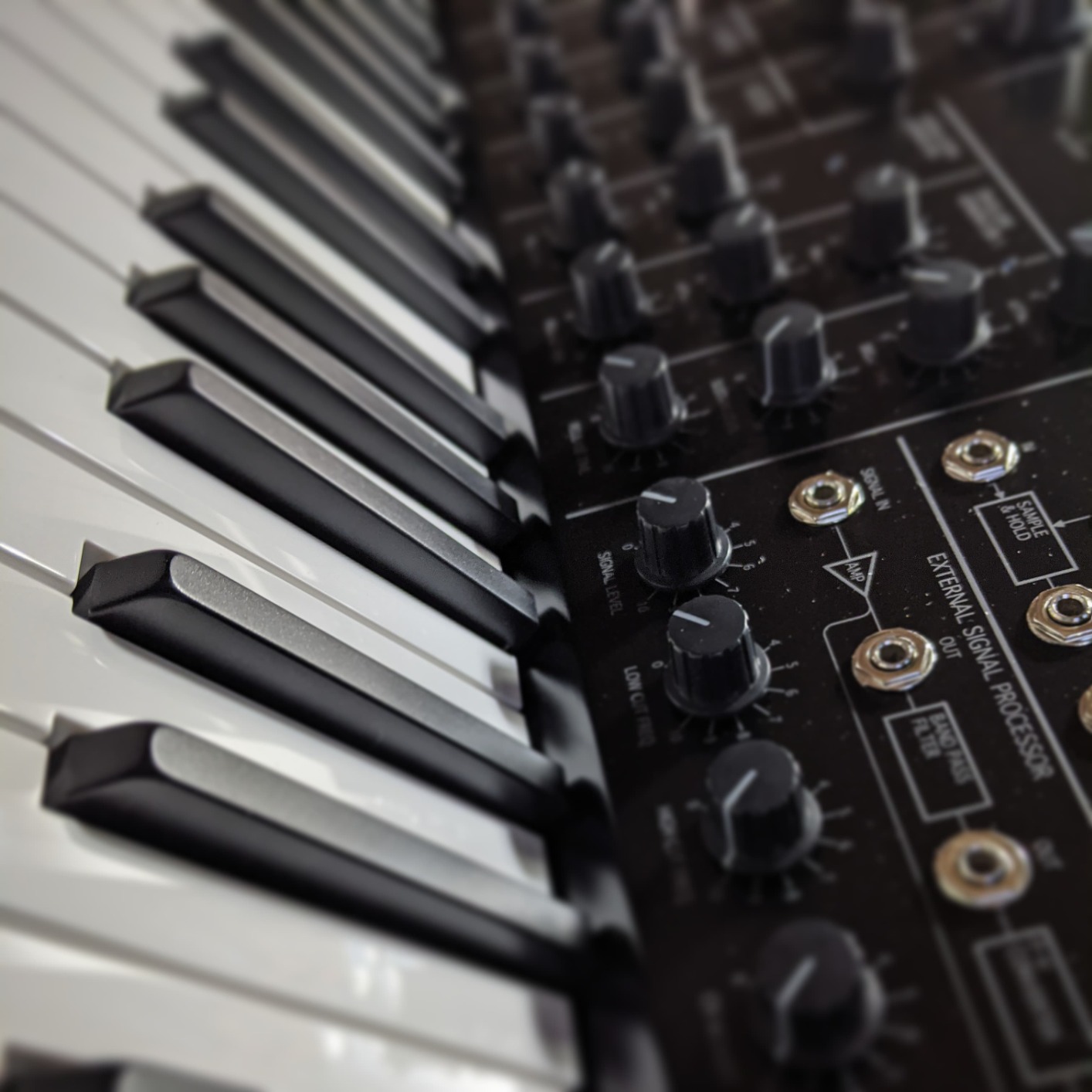 Korg MS20 Mini Semi-Modular Analog Synthesizer customer photo 1