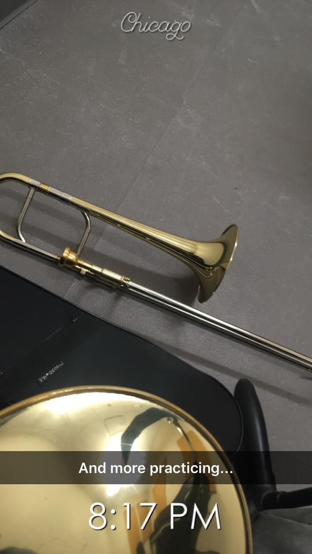 Moz Eb Alto Trombone w/Case and Mouthpiece - Gold Lacquer Finish customer photo 1