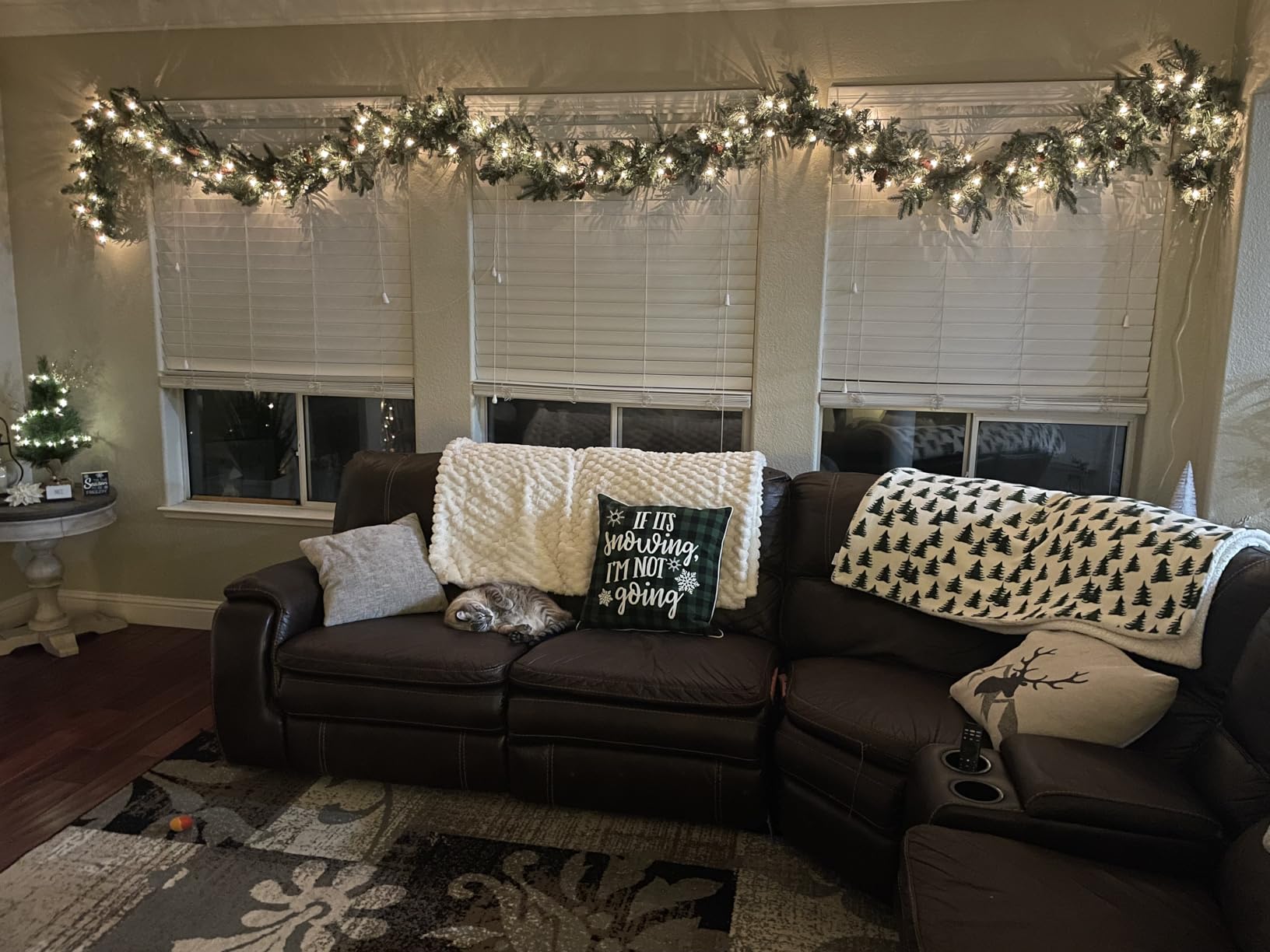 National Tree Company 9 ft Pre-Lit Arctic Spruce Artificial Christmas Garland, Christmas Decoration with Pinecones, 50 Clear Lights, 350 Tips, Green customer photo 2