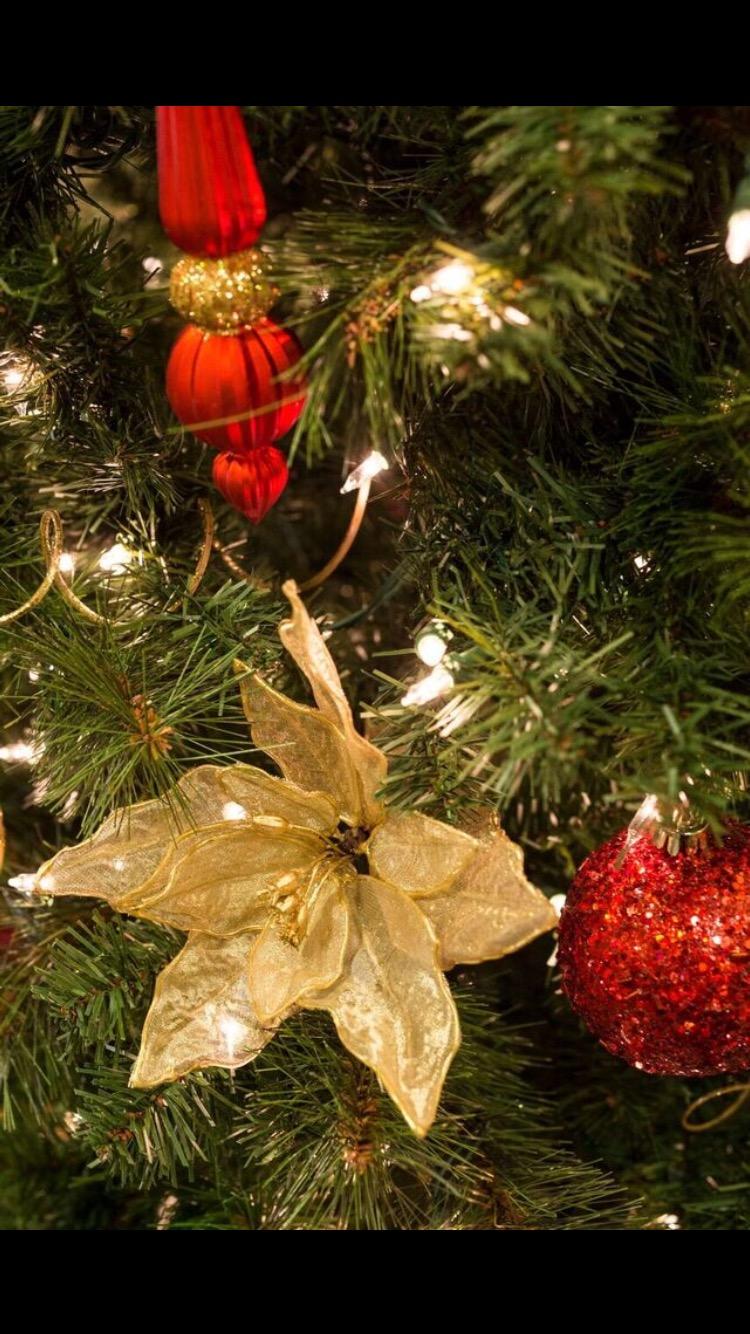 GE String A Long High Quality 100 Count Indoor/Outdoor Mini Clear White Holiday Lights Set on Green Wire (2 Pack) customer photo 1
