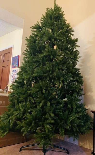 National Tree Company 6ft Unlit Dunhill Fir Artificial Full Christmas Tree | 1,430 Tips, Includes Stand, Green customer photo 1