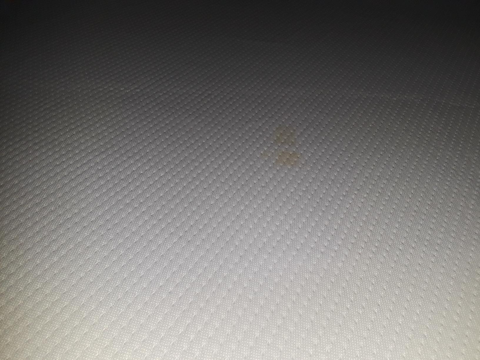 Tuft & Needle Full Mattress Protector - Waterproof, Liquid-Proof, Sleeps Quiet, Fitted Sheet Style, Soft and Comfortable, White customer photo 1