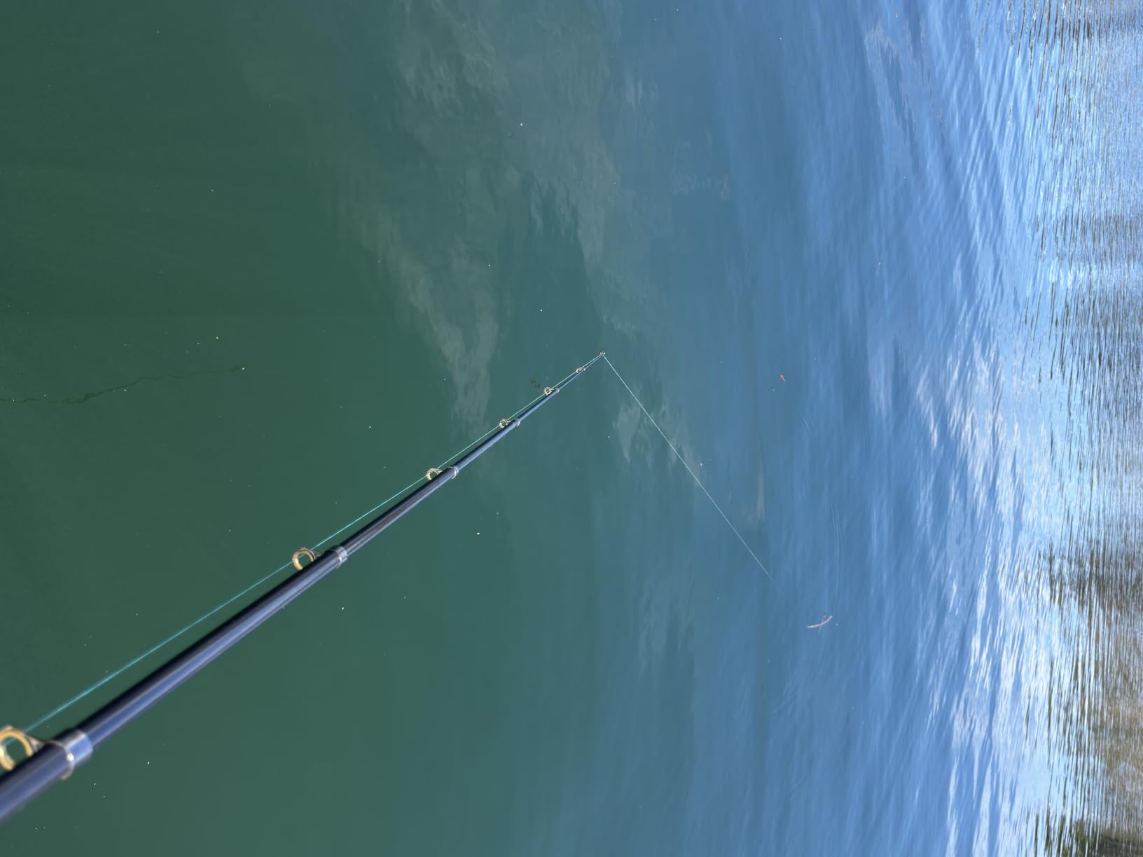 PLUSINNO Fishing Rod and Reel Combos - Carbon Fiber Telescopic Fishing Pole - Spinning Reel 12 +1 Shielded Bearings Stainless Steel BB customer photo 1