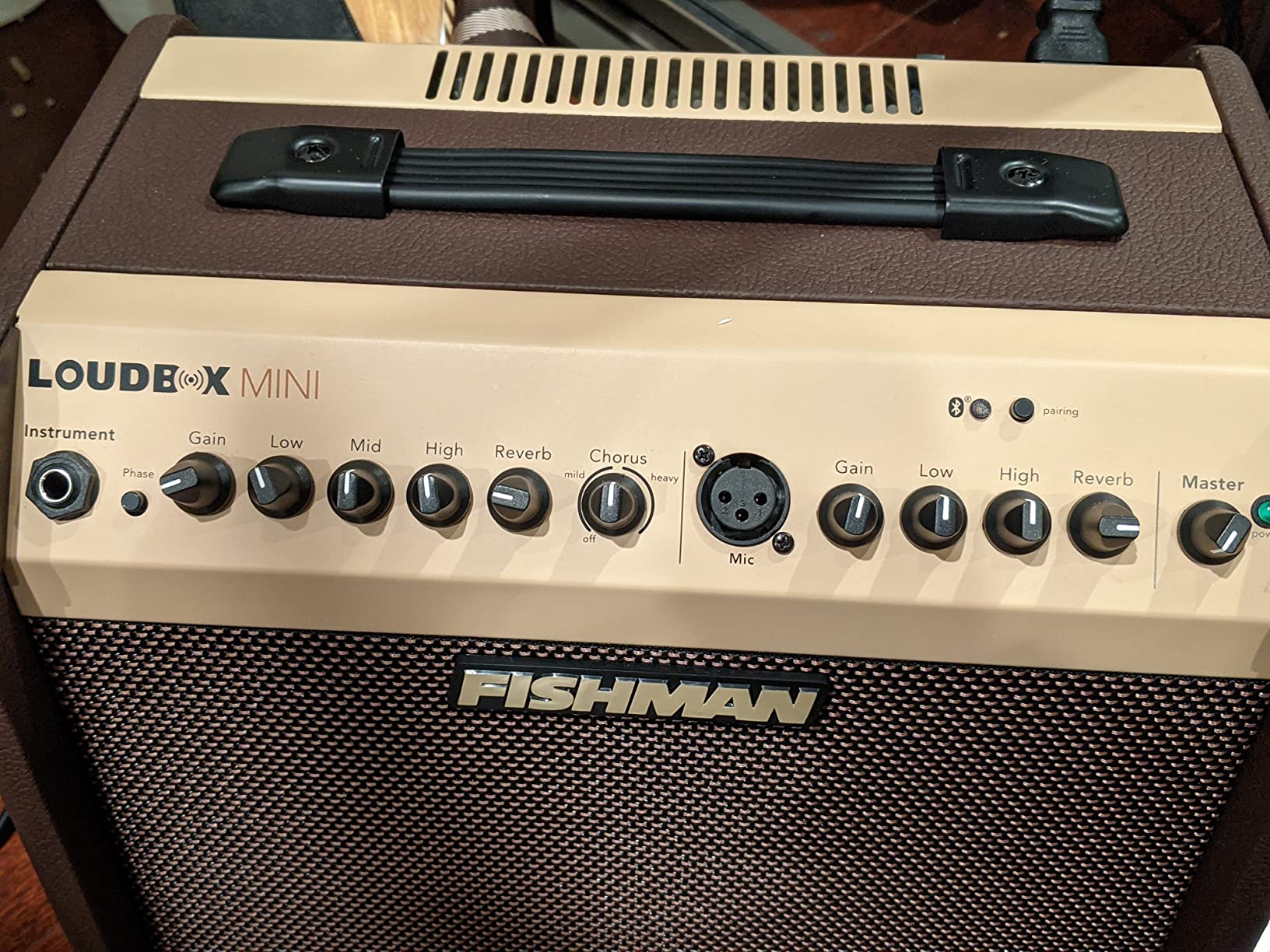 Fishman Acoustic Guitar Amplifier (PRO-LBT-500) Brown customer photo 2