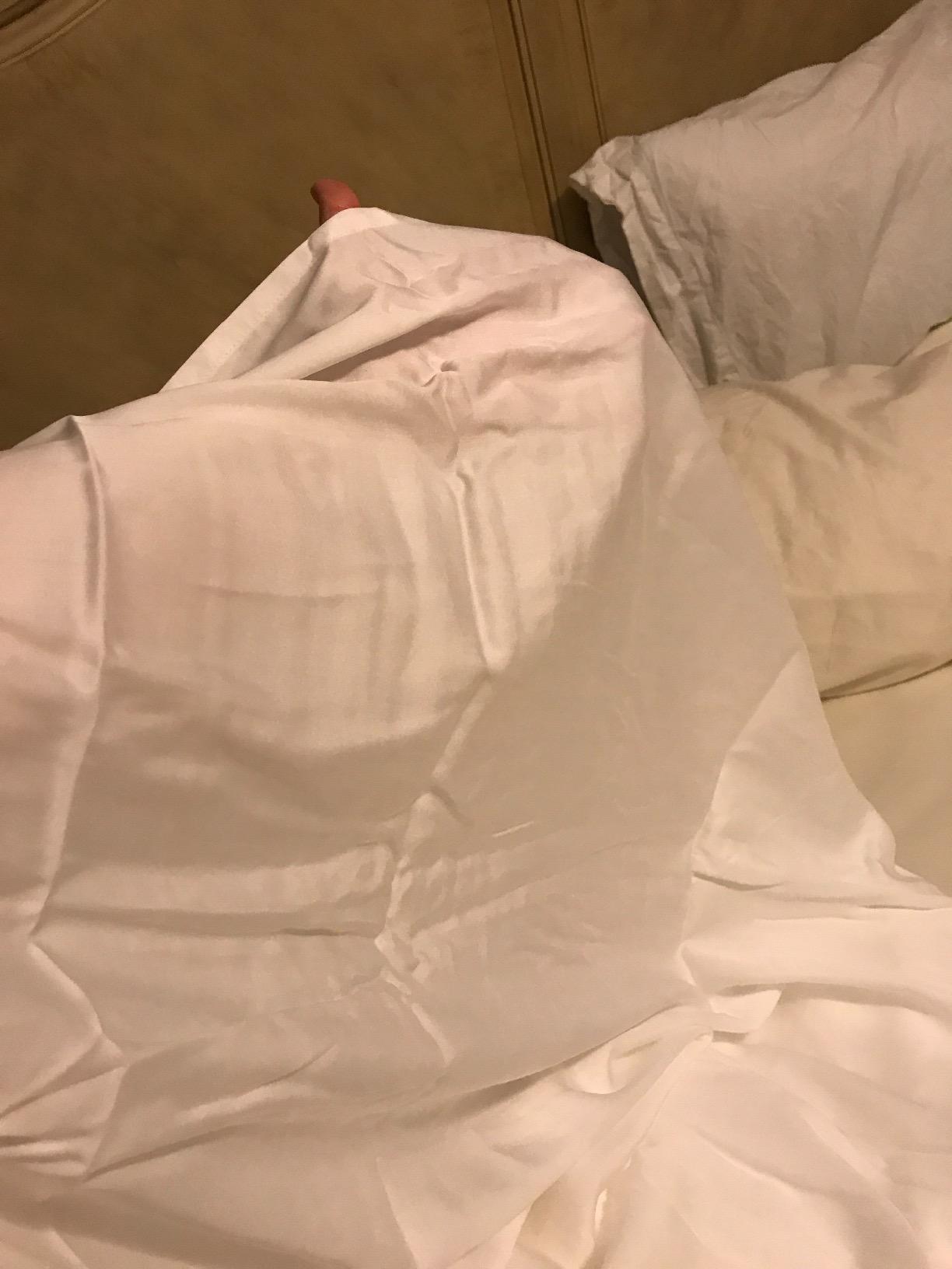 Hotel Sheets Direct 4 Piece Bed Sheet Set Queen Size, 100% Viscose Derived from Bamboo Sheets Set with 2 Pillowcases, Cooling & Breathable Luxury Bedding, Moisture-Wicking & Silky Soft customer photo 2