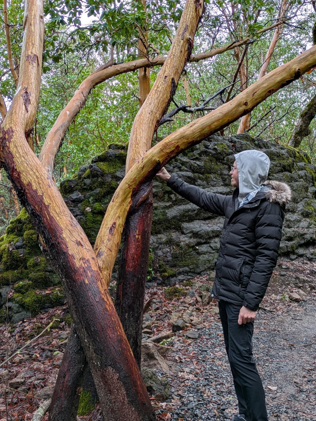 REI Co-op Men's Boundary Pass Down Parka customer photo 1