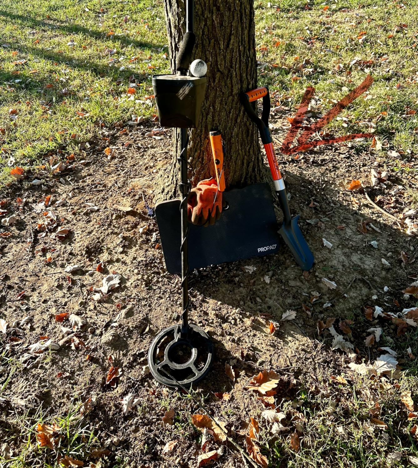 Lil' Digger 29