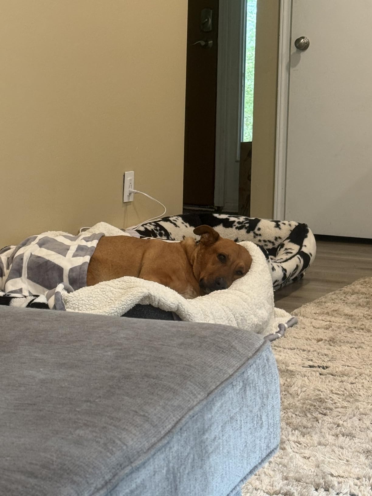 VENTIMI Electric Blanket Heated Throw, 50