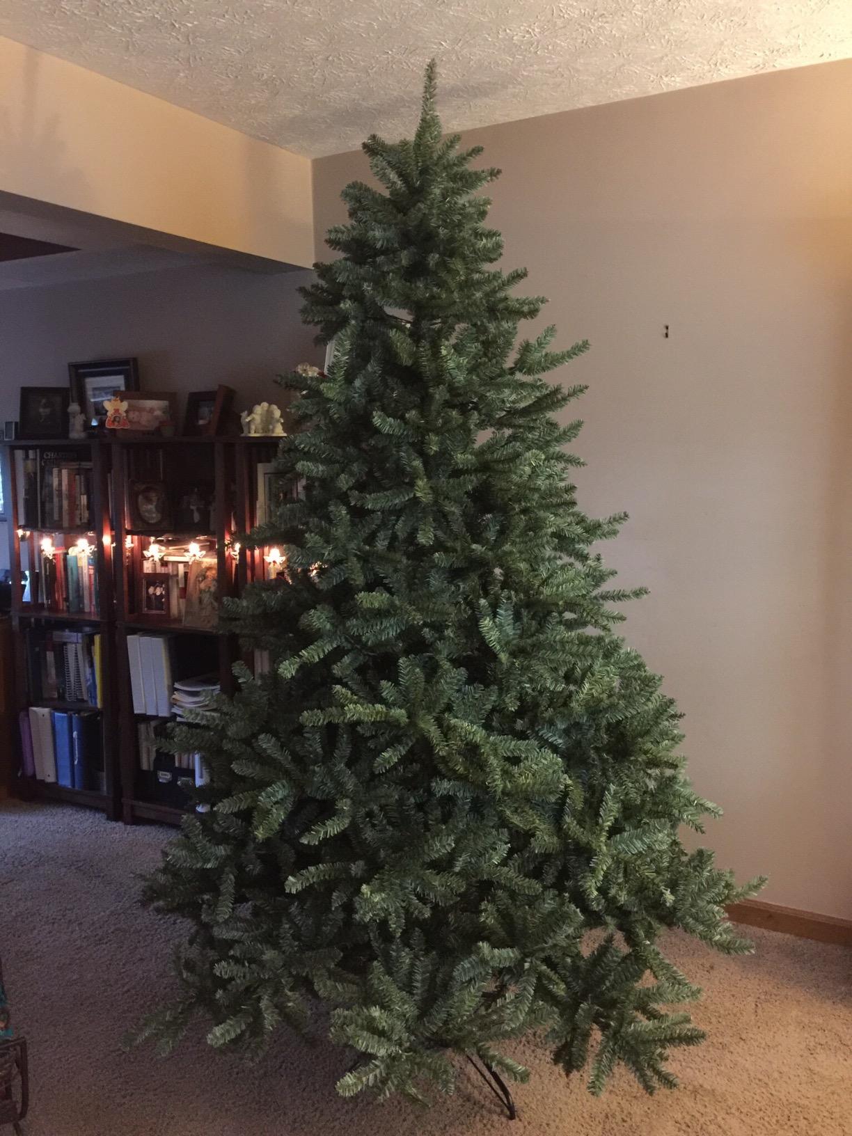 Balsam Hill 7.5ft Pre-Lit Classic Blue Spruce - Artificial Christmas Tree with 2,960+ Tips, 1,000 Clear LED Lights, Easy Plug Technology & Premium Stand for Indoor Holiday Decorating customer photo 1
