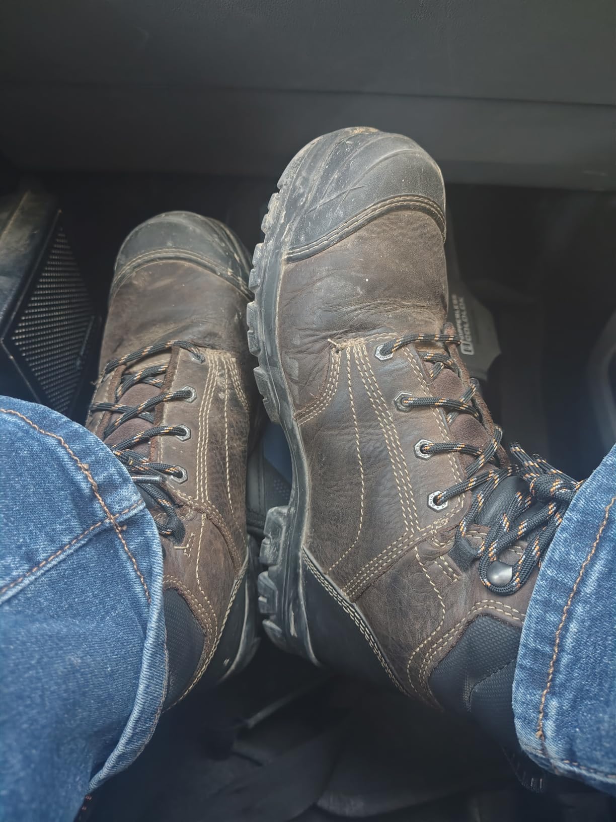 Ariat Women's Treadfast 6