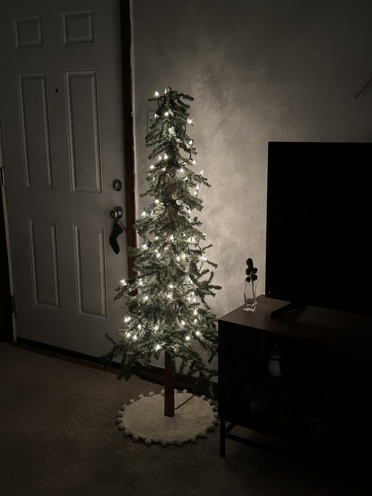 TW SHINE Warm White Christmas Lights Outdoor, 20FT 100 Count Incandescent Christmas Light Indoor, Waterproof Christmas Tree String Lights for Xmas Decorations customer photo 1
