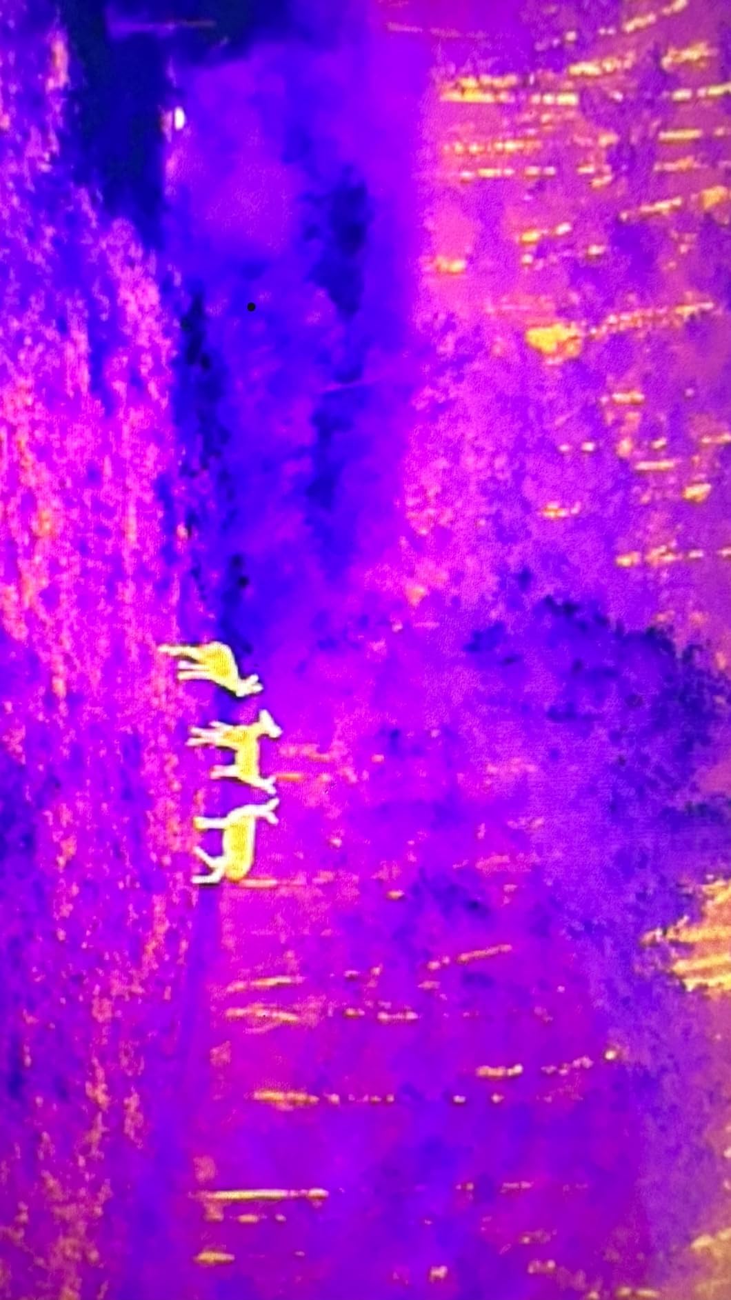 Autel Robotics EVO II Dual 640T V3, 640x512 Thermal Imaging Drone, Remote ID Supported, 0.8