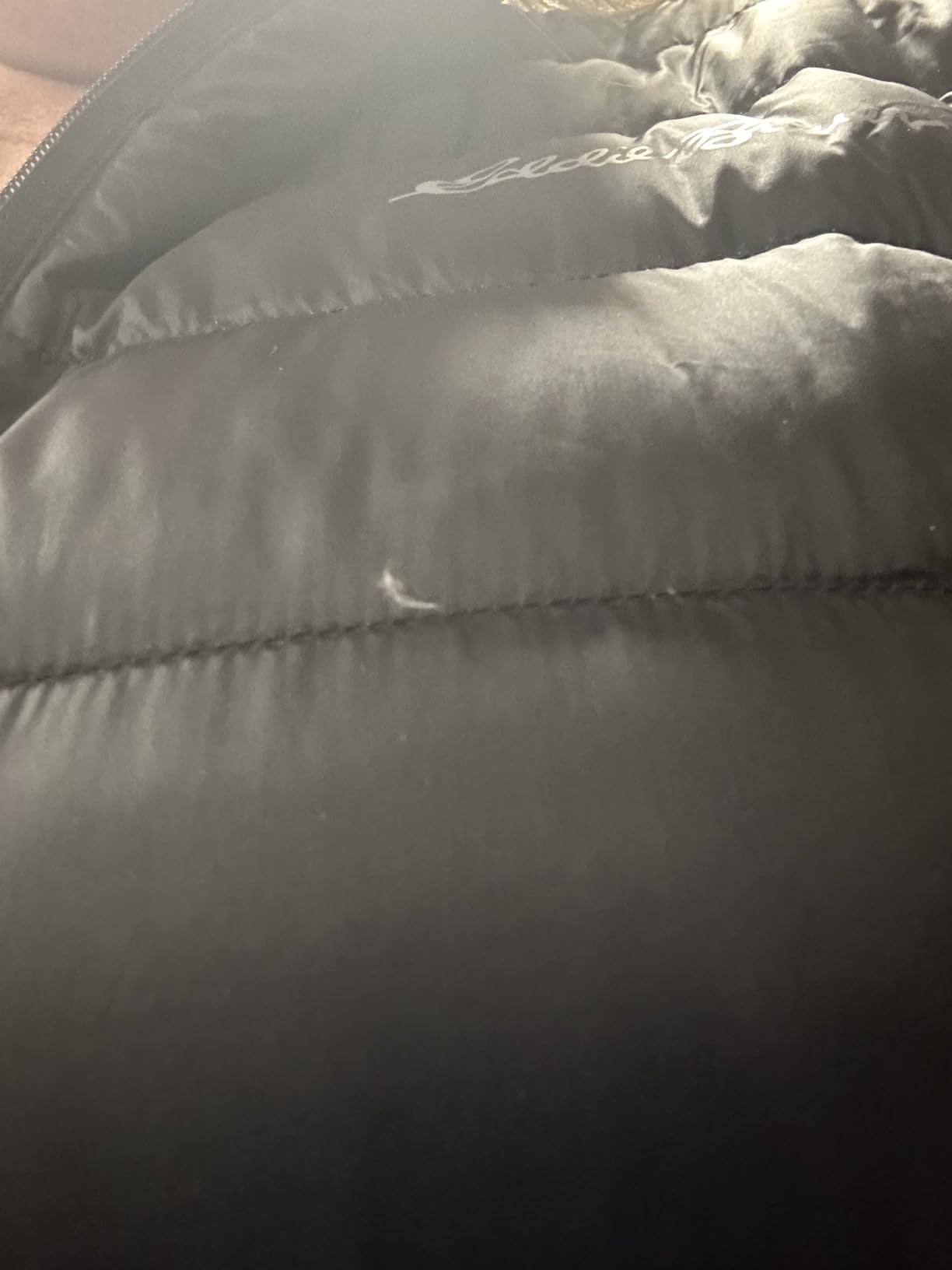 Eddie Bauer Men's CirrusLite Down Jacket customer photo 2
