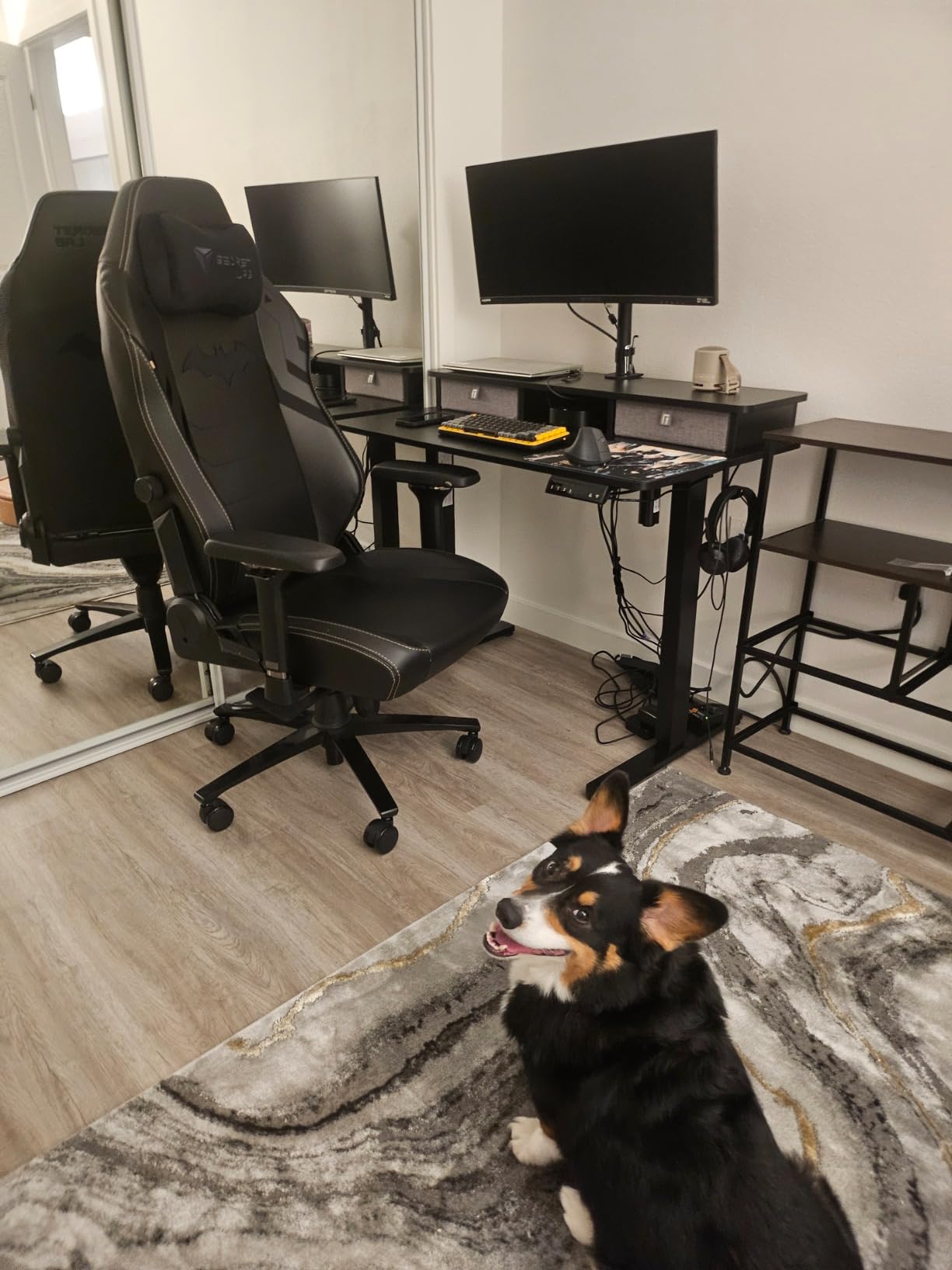 Secretlab Titan Evo Dark Knight Gaming Chair - Reclining, Ergonomic, Comfortable Computer Chair with 4D Armrests, Headrest & Lumbar Support - Regular - Black - Leatherette customer photo 2