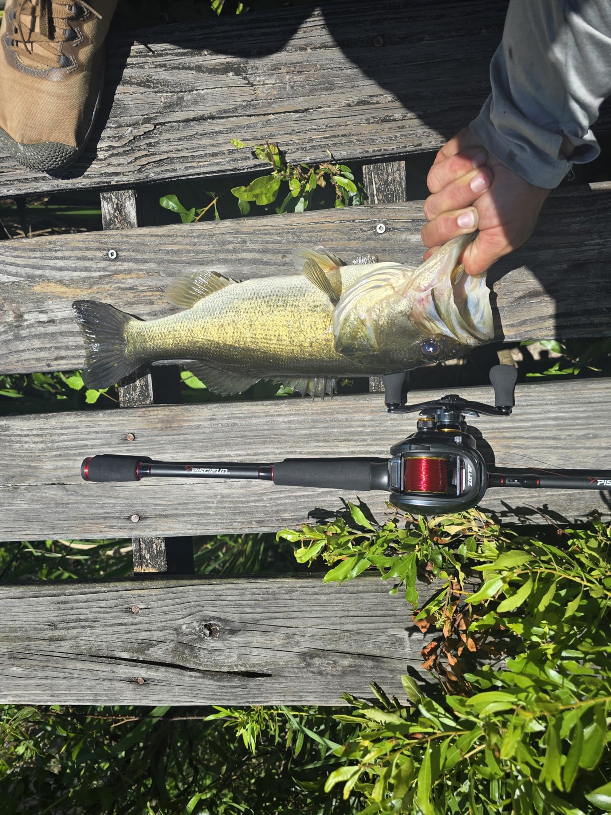 Piscifun Torrent Fishing Rod, IM6 Carbon Baitcaster Rod and Spinning Rod, High Sensitive Lightweight Casting Rod and Spinning Fishing Rod, Zirconium Oxide Rings, 2 Pieces Baitcast Rod and Spin Rod customer photo 1