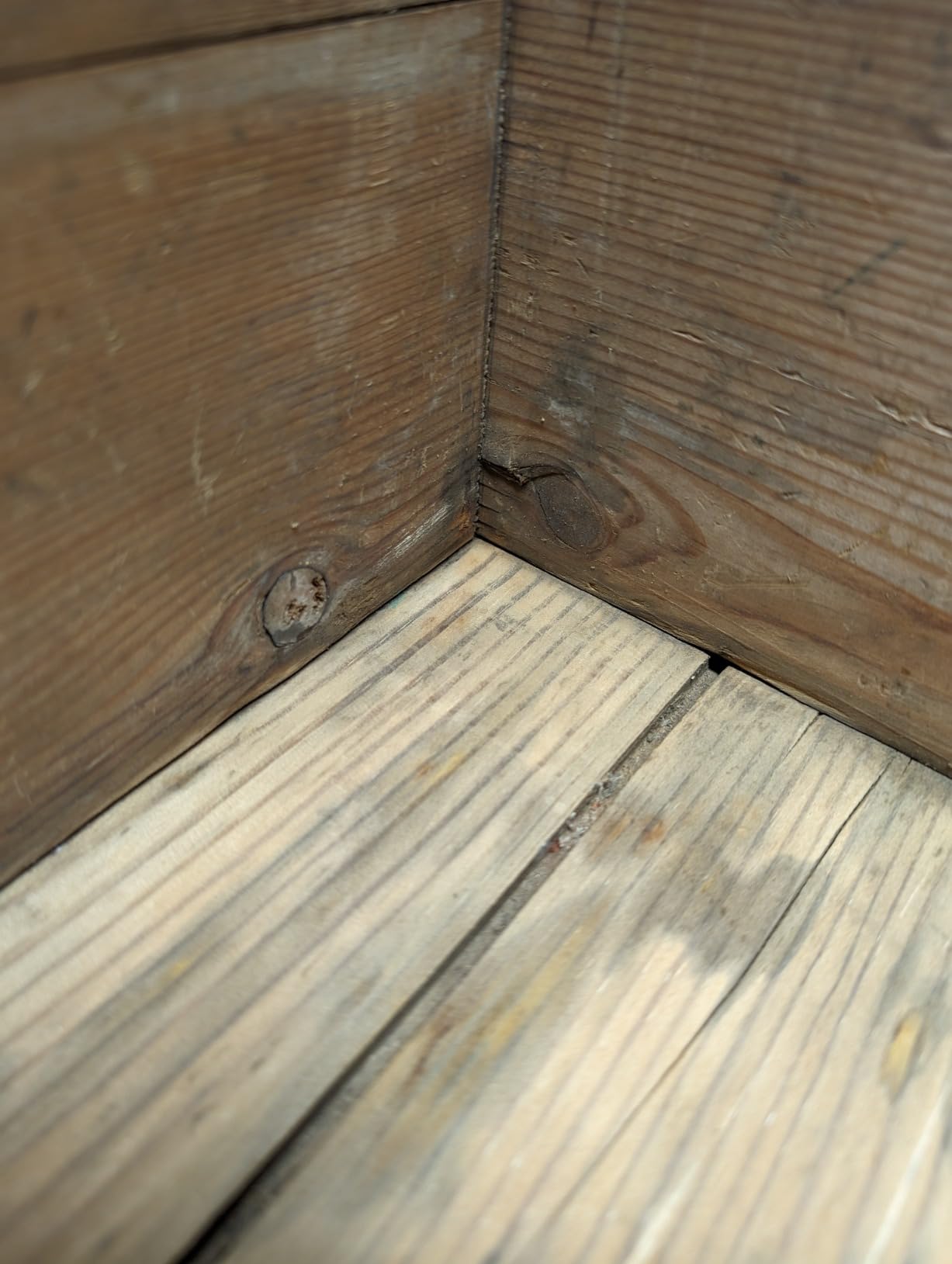 CRAFTSMAN Detail Sander, Corded Mouse Sander for Woodworking, Includes 2 Attachments, Sandpaper Sheets and Dust Bag (CMEW210) customer photo 1