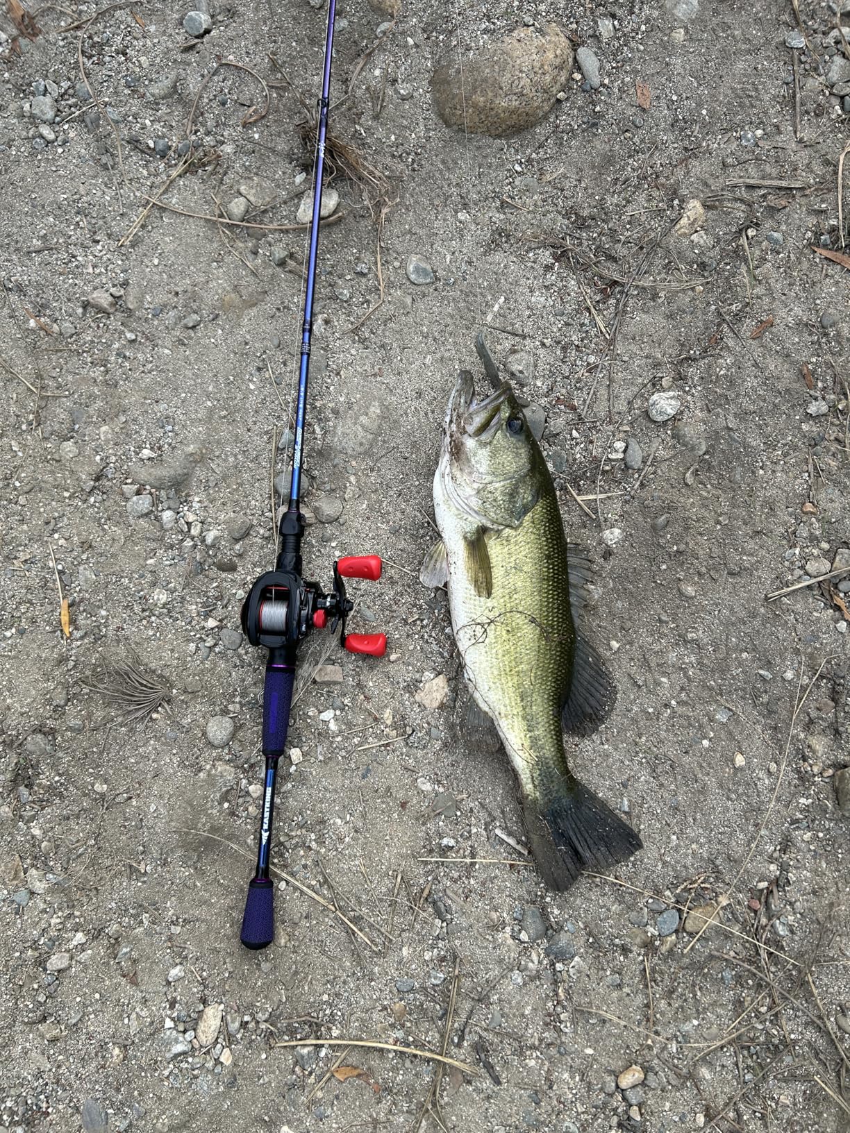 KastKing Royale Legend Pro Technique Bass Fishing Rods, KastFlex IM7 Graphite Blanks, 2-Piece Rod with Extra Tip, SlipLock Technology Handles, PTS Power Transition System, Built-in Hook Keeper customer photo 1