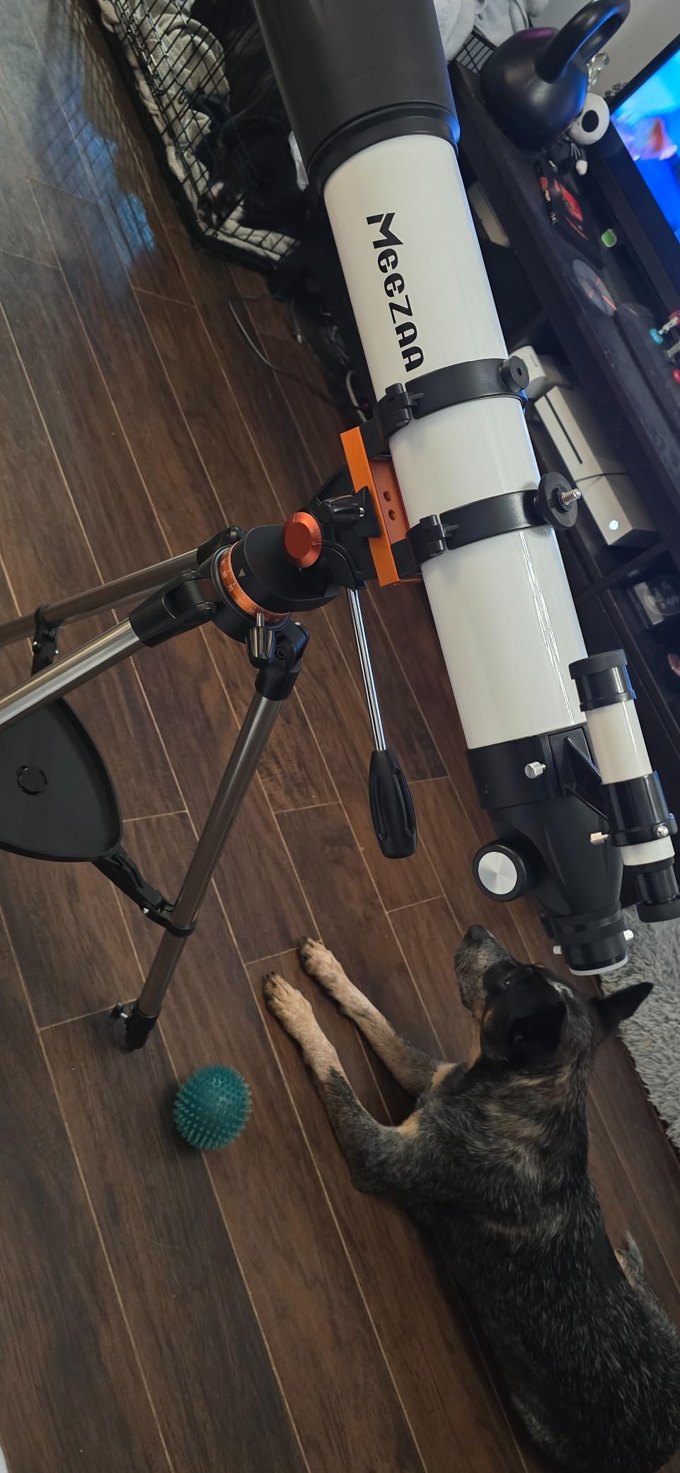 MEEZAA Telescope, 90mm Aperture 800mm Refractor for Adults & Beginners | High Powered Professional, Fully Multi-Coated, AZ Mount Tripod, Phone Adapter & Carry Bag, for Astronomy & Daytime Viewing customer photo 2