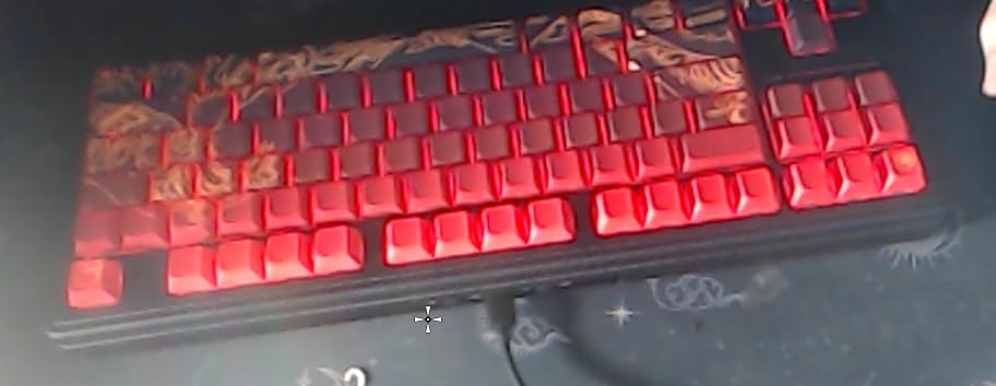 75% Custom Barebones Keyboard kit Gasket Mouted, Blank DIY Silent TKL Mechanical Gaming Keyboard PCB Hot Swappable 3pin/5pin Switch with South-Facing RGB for Win/Mac (M87 Kit-Black) customer photo 1