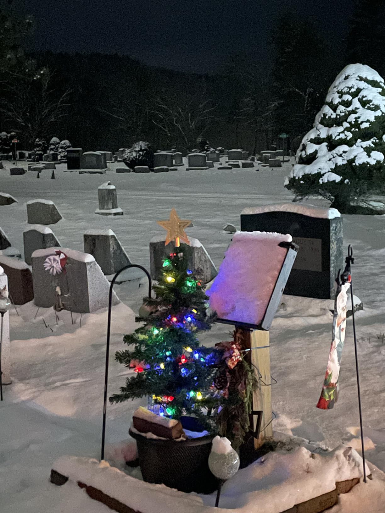 2-Pack 3.6FT Solar Christmas Tree Outdoor Christmas Decorations, 8 Modes Solar Xmas Tree Lights with 100 LED, Waterproof Solar Christmas Lights for Yard Front Porch Pathway Grave Cemetery Decor customer photo 1