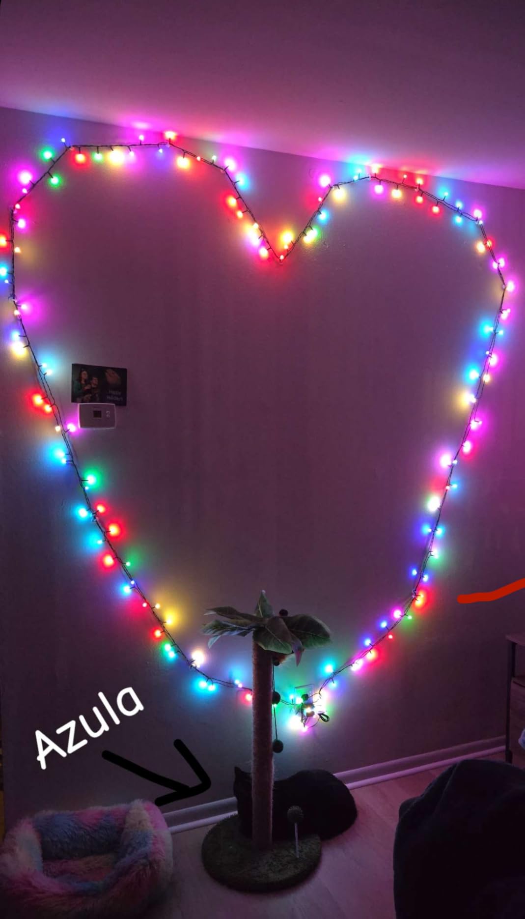QUWIN Waterproof LED Outdoor Christmas String Lights, 115Ft 300 LED UL Certified 8 Modes with End-to-End Plug, Indoor & Outside Fairy Light for Christmas Tree, Patio, Wedding, Party (Warm White) customer photo 2