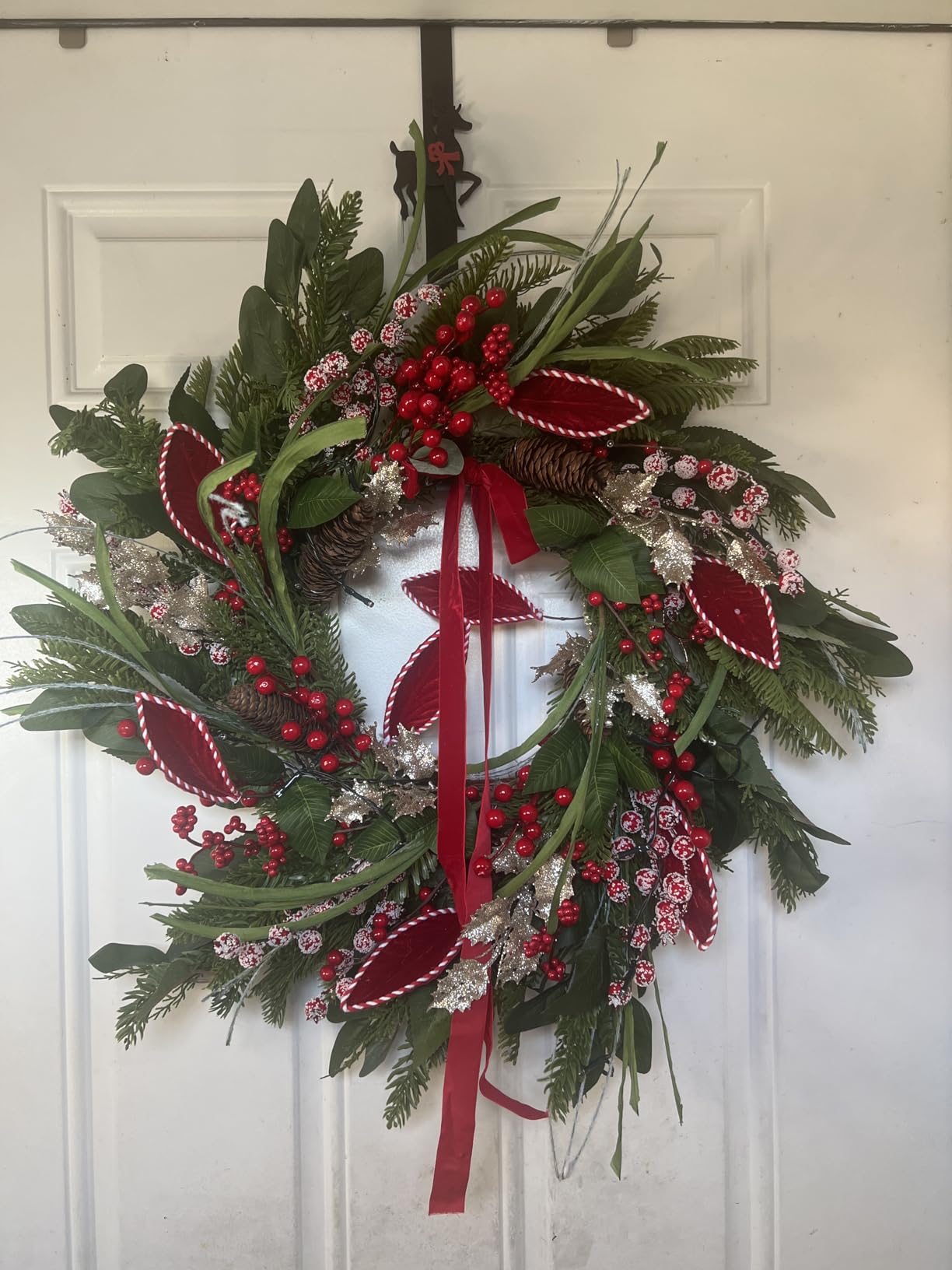 Christmas Wreath with Lights, Outdoor Pre-lit Christmas Wreaths for Front Door - 24 Inch Xmas Door Wreath with Pine Needles Pine Cones and Red Berries - Farmhouse Home Christmas Decorations customer photo 1