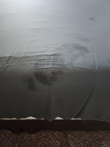 Cariloha Aloha Soft Bamboo Viscose Sheet Set, Coastal Pine, Queen, Buttery Soft, Hypoallergenic and Cooling customer photo 2