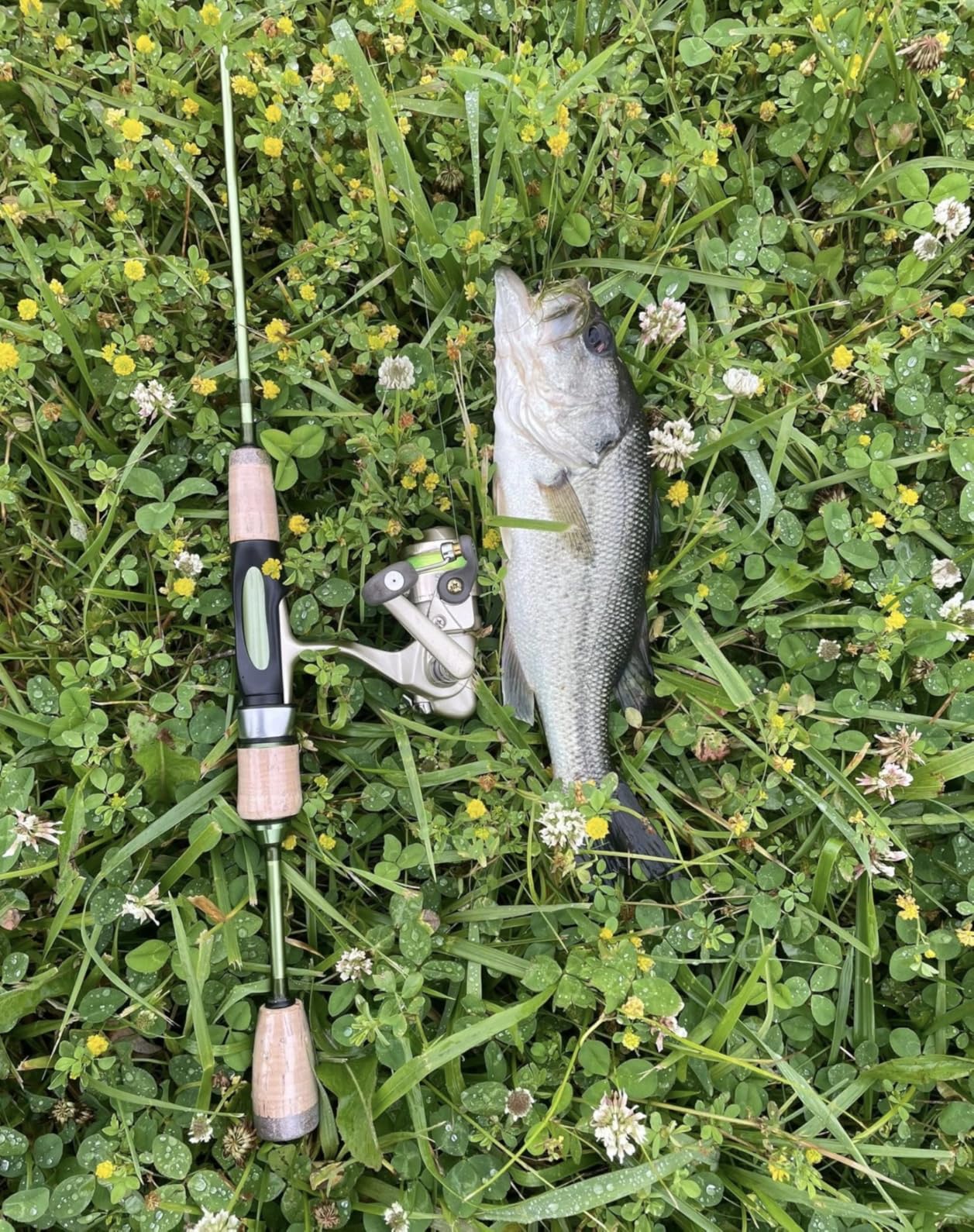 LITTMA Wild Streams Ultralight Spinning & Casting Trout Rod, 2-Piece Fishing Rod for Crappie, Panfish & Micro Fishing, Green Carbon Fiber Blank with Cork Handle customer photo 1