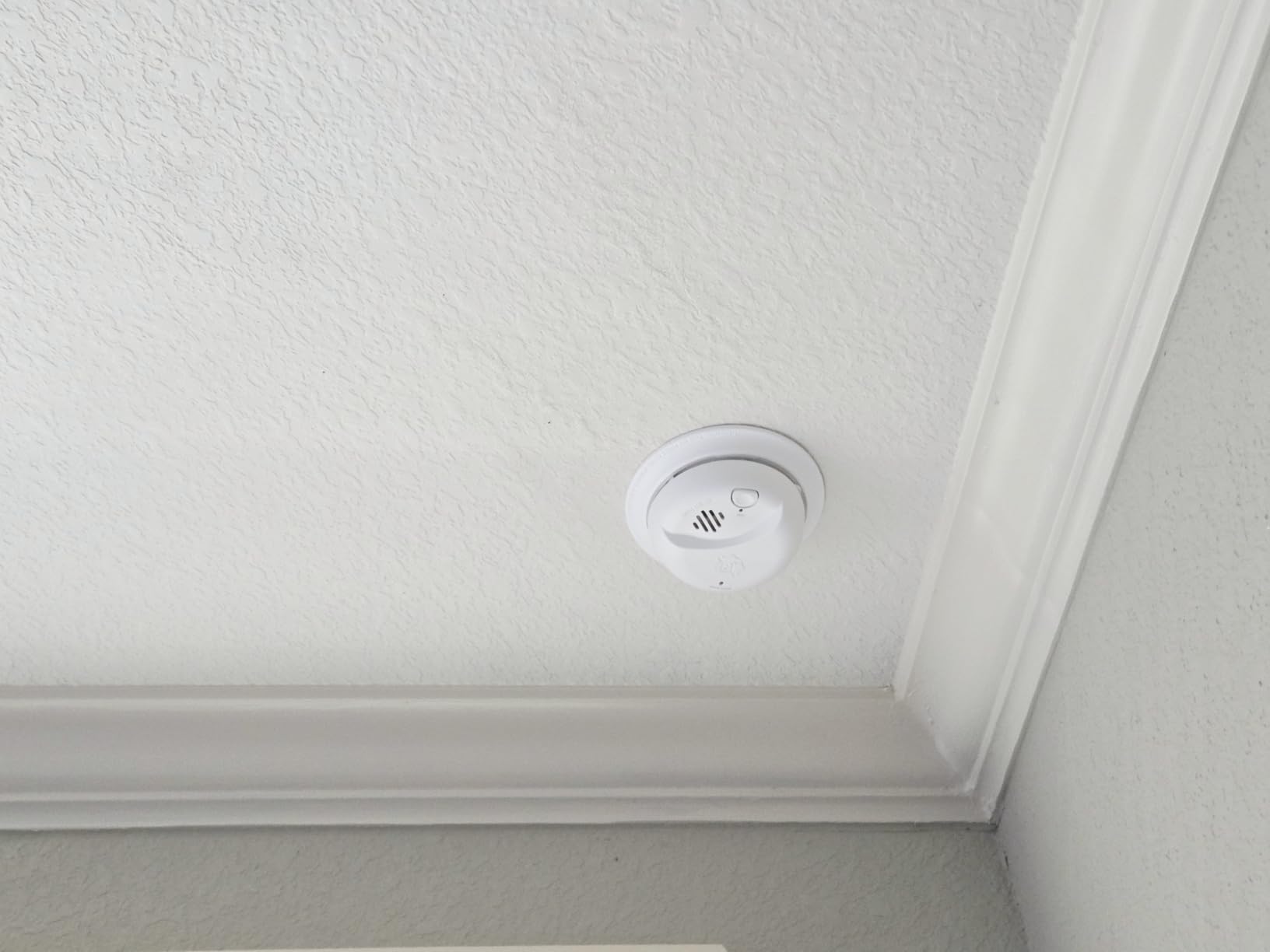 First Alert Hardwire Smoke Alarm | SMI100-AC, 9V Battery Backup customer photo 1