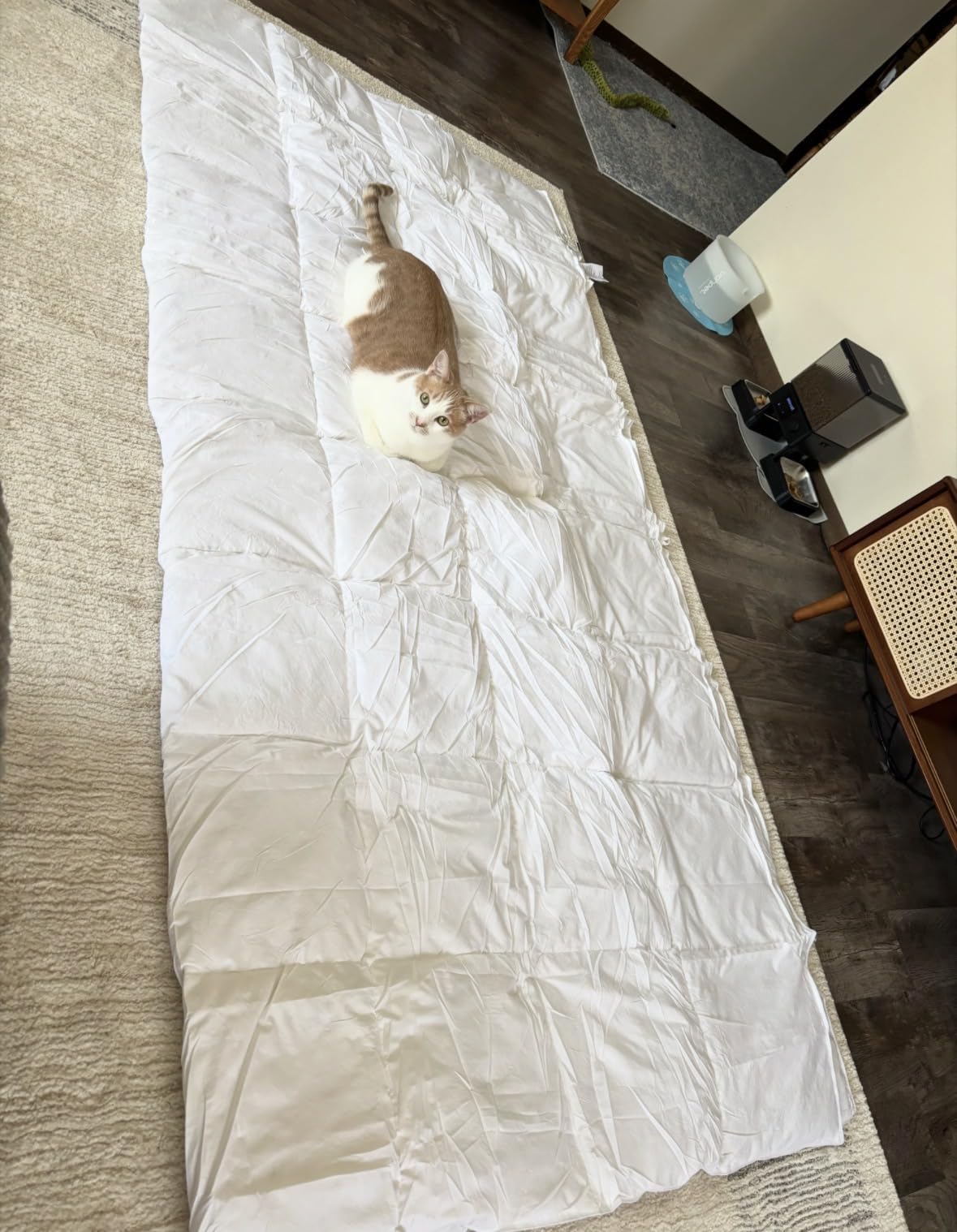 L LOVSOUL Goose Feather Down Fiber Comforter Queen, Grey, All Season | 100% Organic Cotton Fabric, High Fill Power, Hotel Collection, Soft, Fluffy and Breathable, 8 Corner Tab, 90X90IN customer photo 2