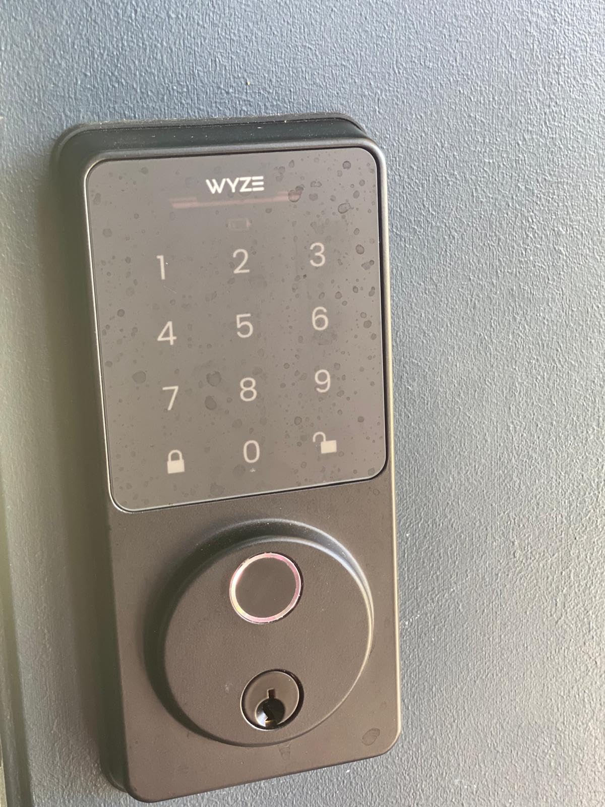 Wyze Auto-Lock Bolt v2, Fingerprint Keyless Entry Smart Lock, AI Learning Scanner with Wi-Fi Front Door Lock Deadbolt, Auto-Lock, 8 Months Battery, BHMA2, IP53, Anti-Peep Keypad, Backup Keys customer photo 2