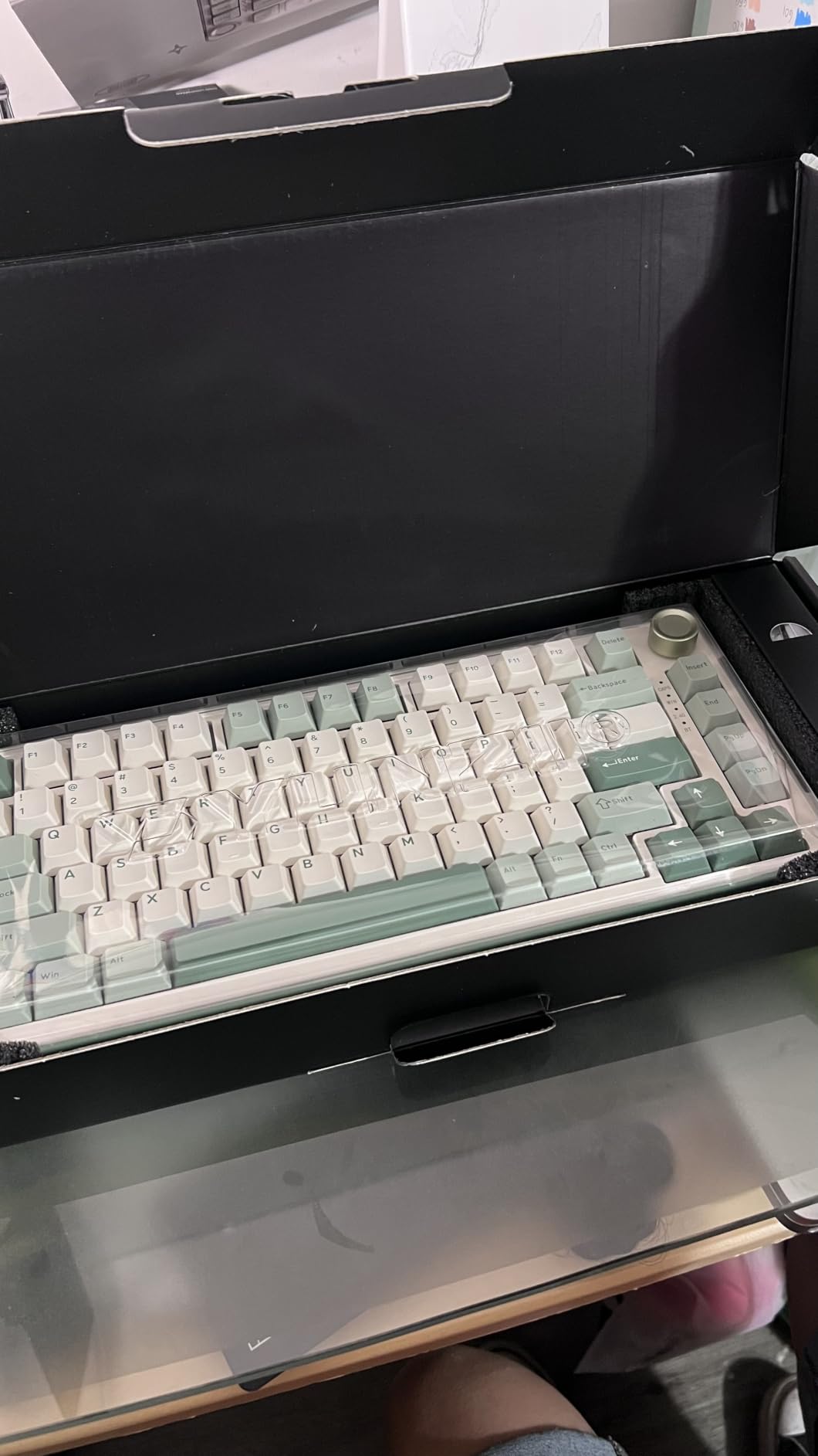 YUNZII B75 PRO Wireless Mechanical Keyboard, 75% Layout with Knob, Hot Swap Gasket Structure, Creamy Pre-lubed Switches, RGB Backlit, Bluetooth/Type-C/2.4G for Win/Mac customer photo 2