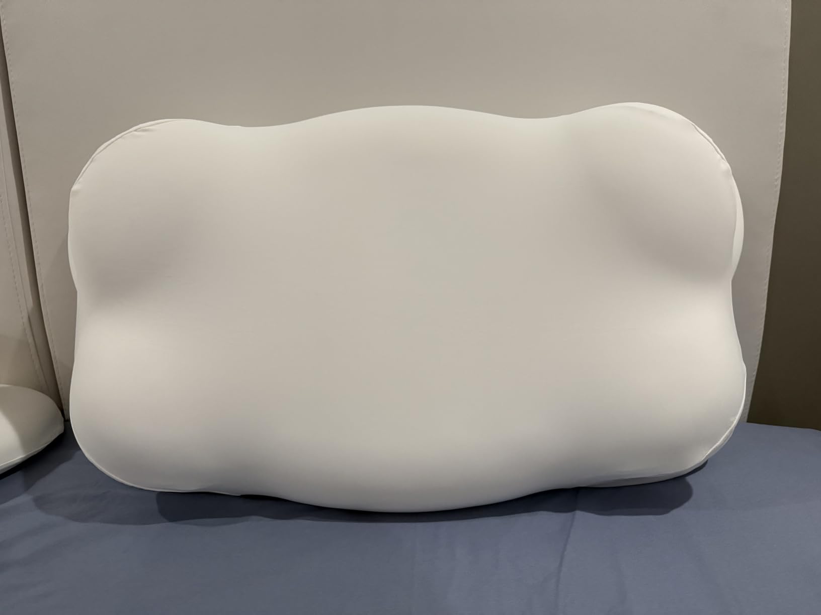 Mellow CloudAlign Memory Foam Pillow for Neck and Shoulder Support, Standard | Dual Height Ergonomic Cervical Pillow for Side Back and Stomach Sleepers, Contoured Orthopedic Bed Pillow with Washable Cover customer photo 1