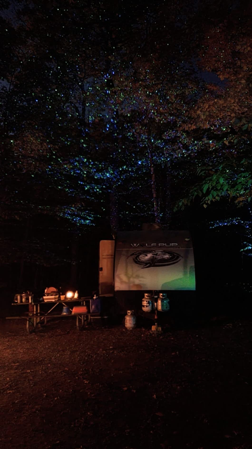 CAIYUE Outdoor Christmas Projector, Three-Color RGB Waterproof Projector | Outdoor Garden Lights Projector with remote control and timer, suitable for walls, patios, garden, holiday parties, and decor customer photo 1