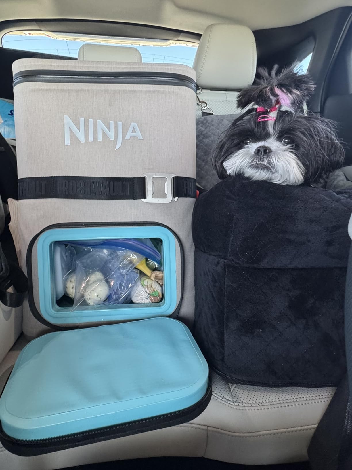 Ninja Backpack Cooler | FrostVault Go 24 Can Soft Cooler | Leakproof Zipper with Built in Can Opener, 2 Ice Packs & Dry Storage Drawer | for Hiking, Camping & More | Halocline Green | FF124TL customer photo 1