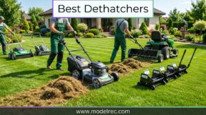 best dethatchers