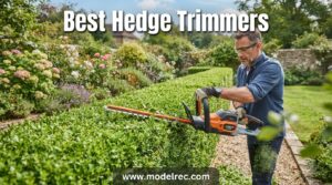 best hedge trimmers