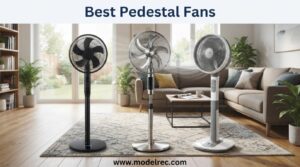 best pedestal fans