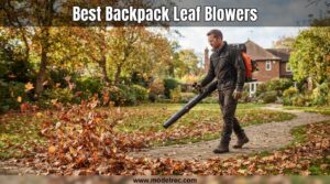 best backpack leaf blowers