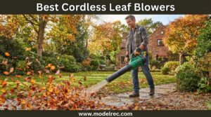 best cordless leaf blowers