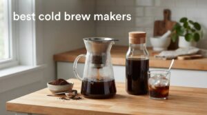best cold brew makers